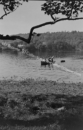 BRINGING CATTLE TO CHURCH ISLAND